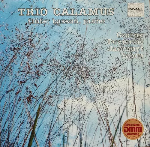 Flute basson piano trio - flute,,