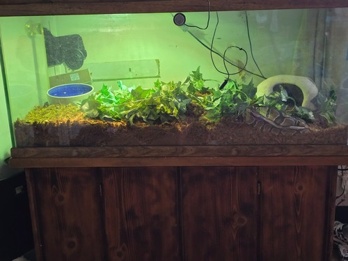 aquarium
