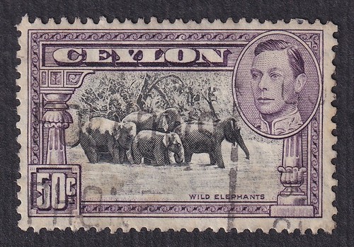 Ceylan yvert 260a - ceylan-yvert,