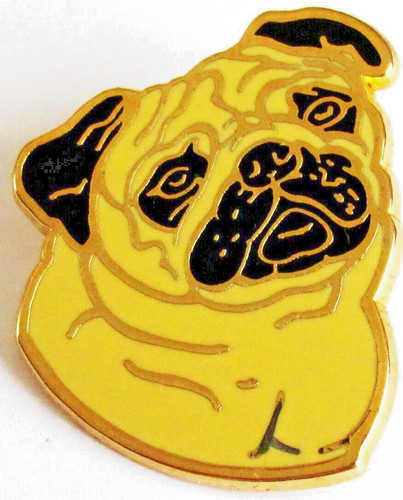 Pin chien tete carlin - chien,