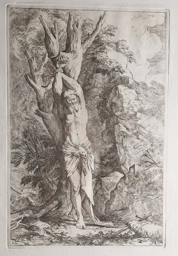 Alber étudiant william - Étudiant,