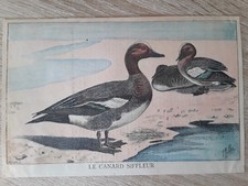 Carte-Chromos-Découpis-LE