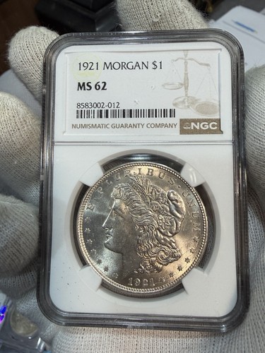 Dollar morgan - ",