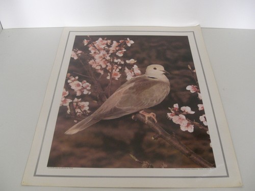 Ancienne planche affiche - ancienne,