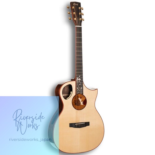 Guitare acoustique cort - guitare,