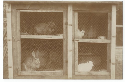 Bm504 carte photo - bm504, card