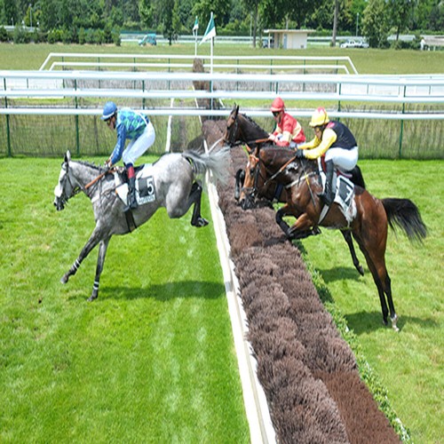 Méthode turf 14 - de, turf: