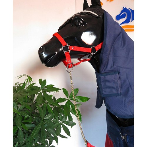 Longe pour cheval rênes - longe,