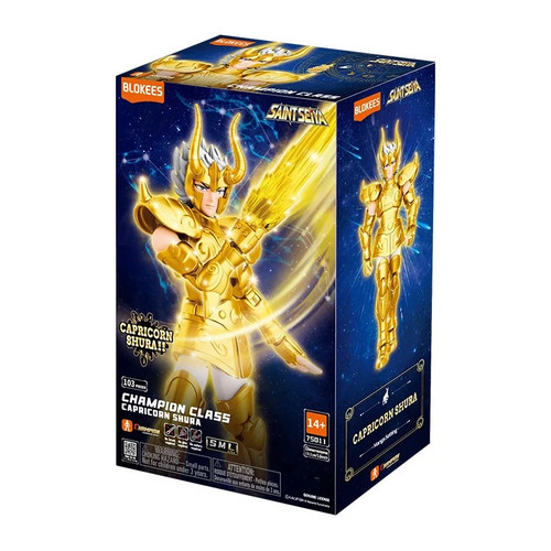 Saint seiya figurine blokees - saint,