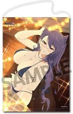 Tapestry Rin Swimsuit ver