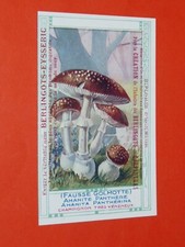 CHROMO 1910-1914 BERLINGOTS