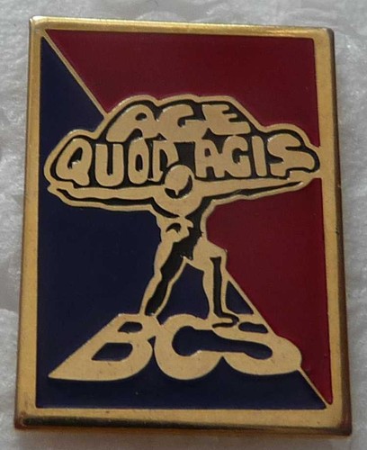 Pin militaire bcs du - pin's,