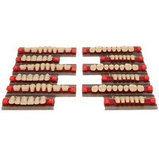 12 pièces fausses dents