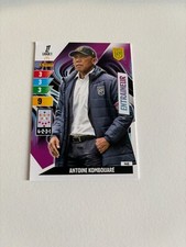 carte Panini Adrenalyn xl