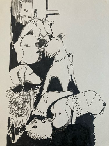 Beau dessin encre chien chat - encre,