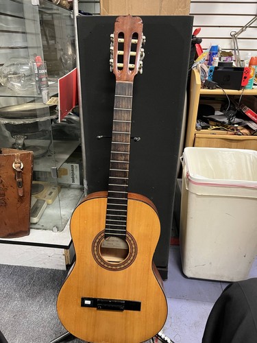 Jasmine takamine js341 - takamine,