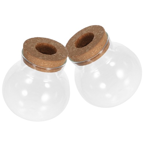 Pcs terrariums verre - pcs, pour