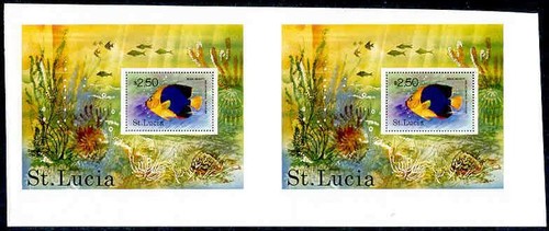 Lucia 1978 tropical fish - tropical,