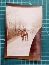 AW14 Photo albuminée circa 1900 TBE 11x8cm chasse à courre cavalier forêt