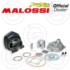Malossi 318284 Set Groupe