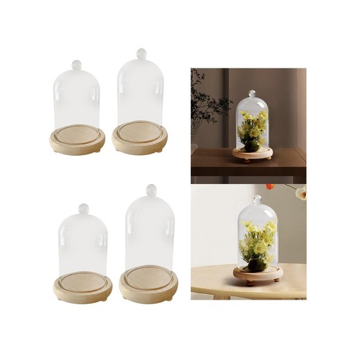 Cloche dôme verre - en, bocal