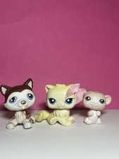? Littlest Pet Shop Lot #428 Persian Cat Kitty #427 Husky #429 Authentic Lps ?