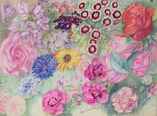 ANCIENNE PLANCHE DE DESSINS