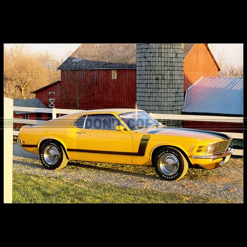 Photo 037431 ford mustang - photo,