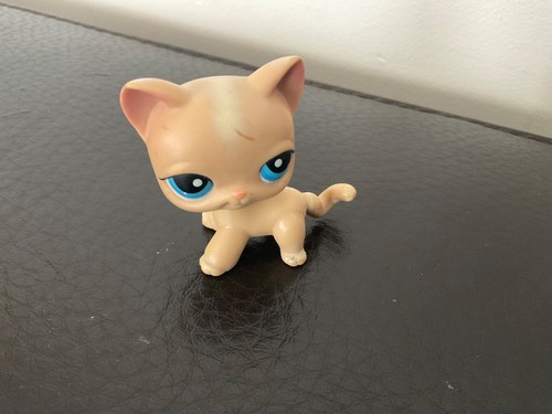Littlest petshop chat - petshop,