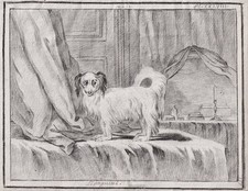 Dessin De Chien Épagneul 1780
