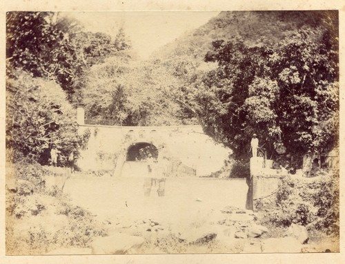 Photo ancienne martinique - photo,