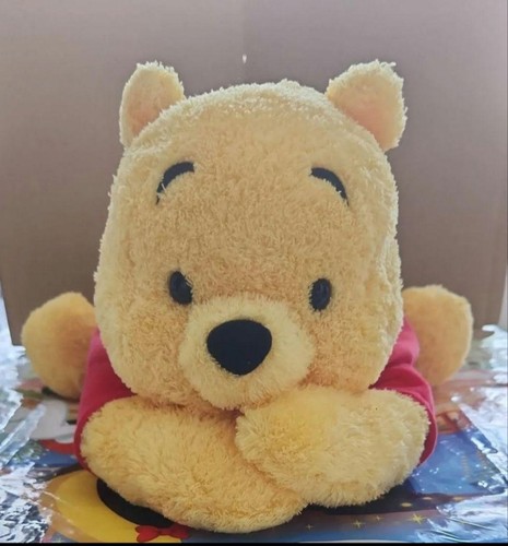 Winnie the pooh - winnie, case