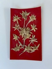 COLLECTION ANCIENNE CARTE