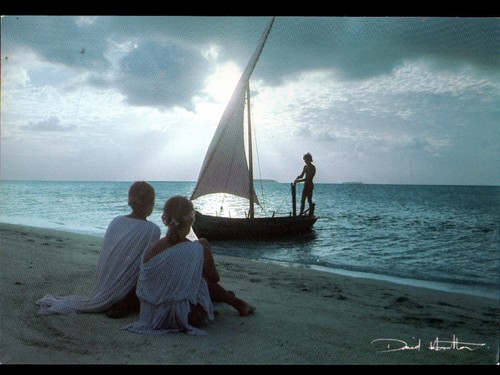 Photographe artistique - photographe, /