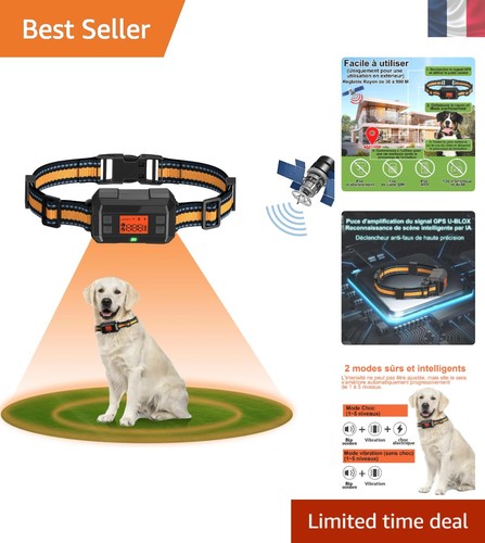 Collier pour chien avec - collier,