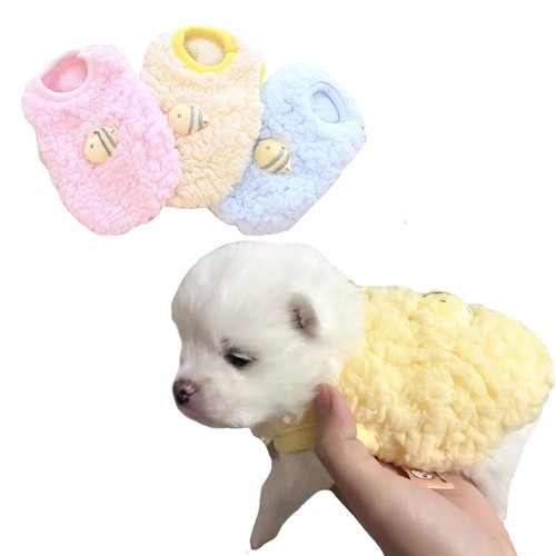 Packs teacup dog cat - cat, xxs