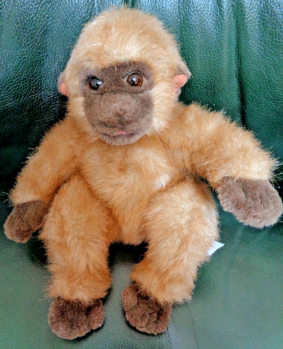 St6 doudou peluche - st6/,