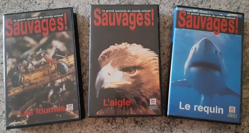 Lot cassettes vidéo vhs - cassettes,