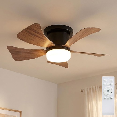Ventilateur plafond - ventilateur, de