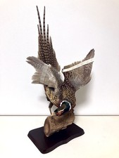 farce, animaux, taxidermie de