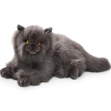 Carl dick chat persan gris - carl,