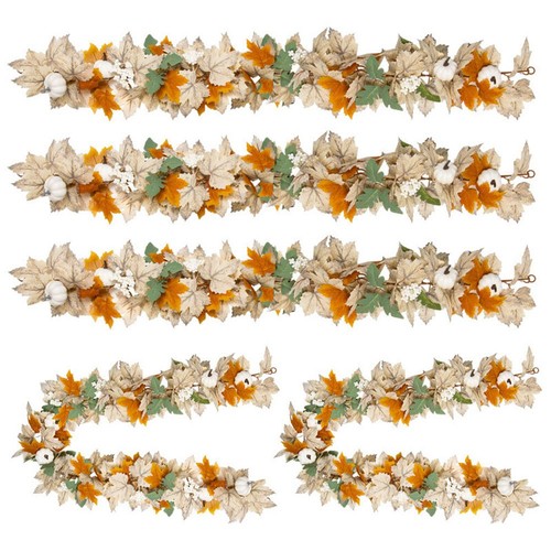 Vigne feuille érable - feuille, d'érable
