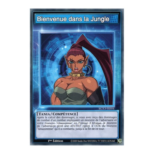 Tcg sgx3 frs04 c - tcg,