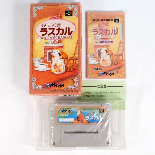 Araiguma rascal raccoon racoon - araiguma,