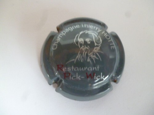 Capsule hotte thierry - capsule,