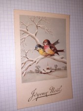 CPA , joyeux noël , oiseaux , charme 923 , 