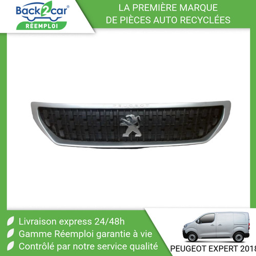 Calandre peugeot expert - 🏆,