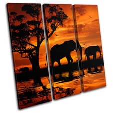 Elephant African Sunset