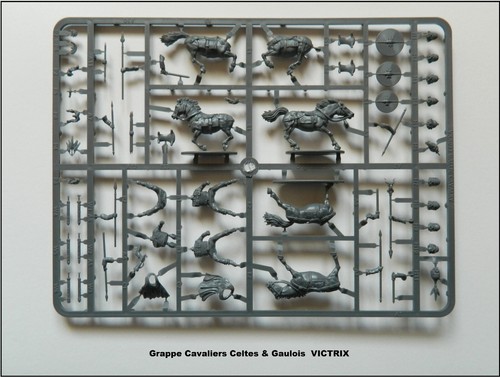 Victrix grappe cavaliers - grappe,