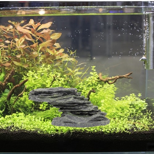 Habitat des tortues - habitat,